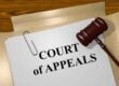 Man convicted for indecent assault by the Dubai courts appeals decision